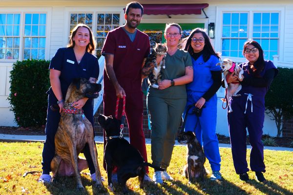 roswell veterinary team