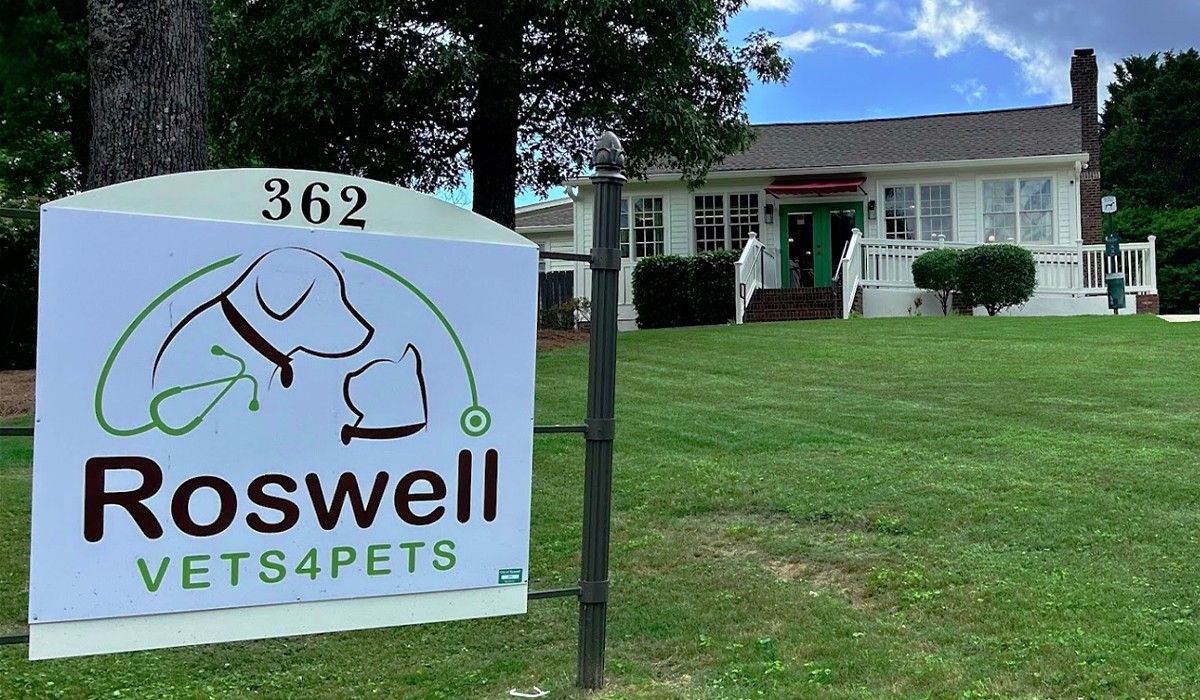 roswell-vets-4-pets-outside