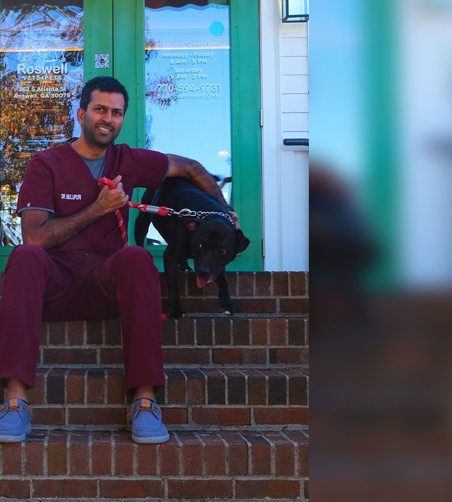 roswell veterinary doctor and his dog