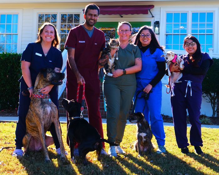 roswell veterinary team outside